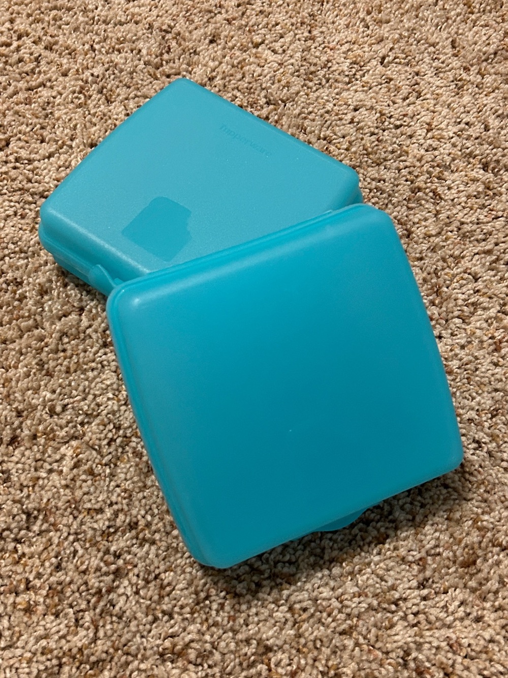 Tupperware Sandwich Keeper - Set of 2 - Picture 4 of 7